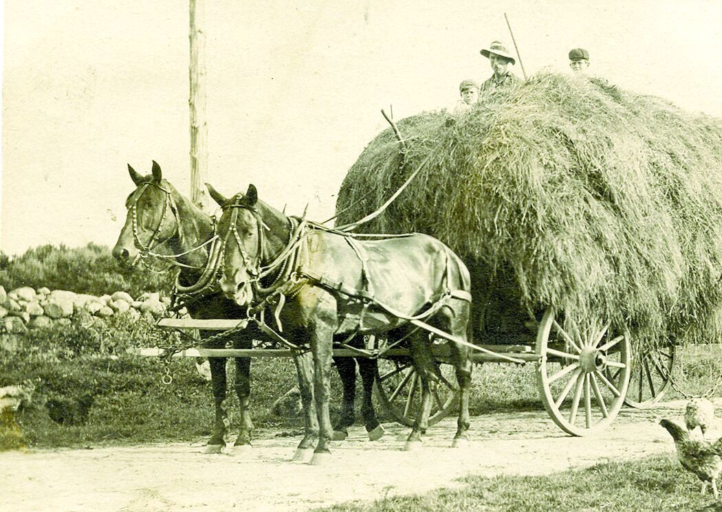 Historical Society Fall Festival